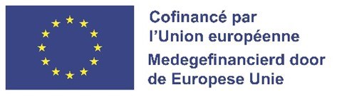 2025_Logo_FSE+.jpg